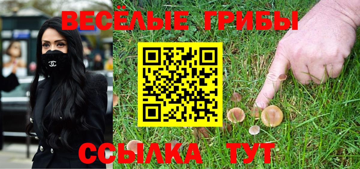 Тихвин  Галлюциногенные грибы Psilocybe  Вход с VPN  Псилоцибиновые грибы GOLDEN TEACHER 